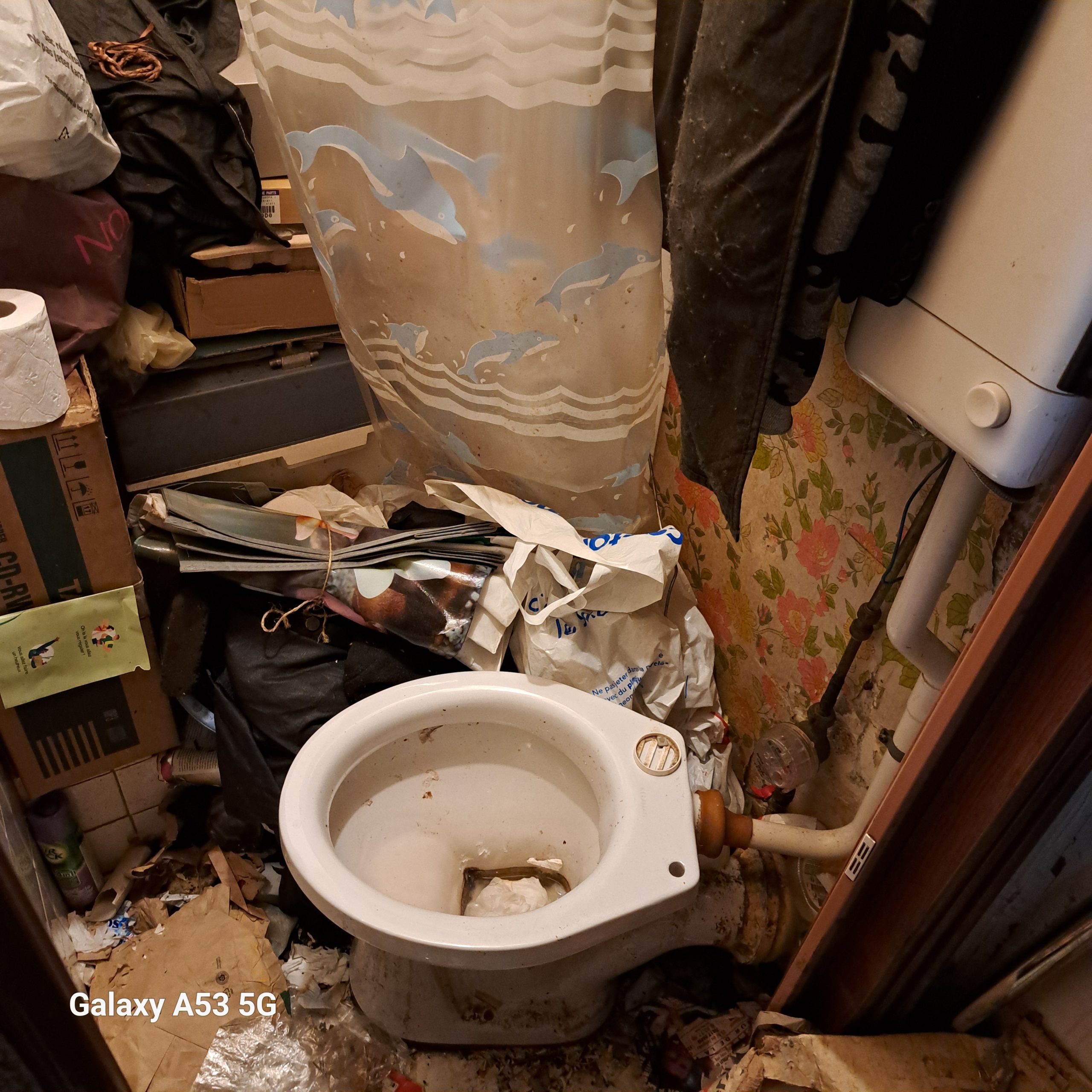 gallery-6 20250127 WC DOUCHE 2 Scaled